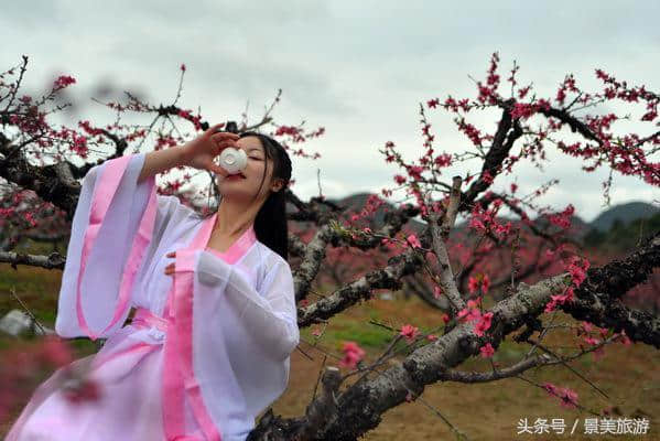 连州女大学生穿古装游桃园喝桃花酒玩飞花令，呼吁人们要学古诗词