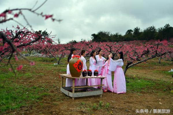 连州女大学生穿古装游桃园喝桃花酒玩飞花令，呼吁人们要学古诗词