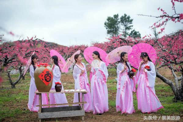 连州女大学生穿古装游桃园喝桃花酒玩飞花令，呼吁人们要学古诗词