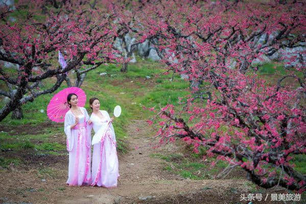 连州女大学生穿古装游桃园喝桃花酒玩飞花令，呼吁人们要学古诗词