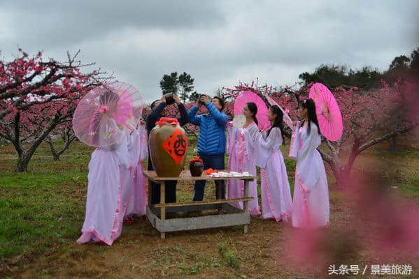 连州女大学生穿古装游桃园喝桃花酒玩飞花令，呼吁人们要学古诗词