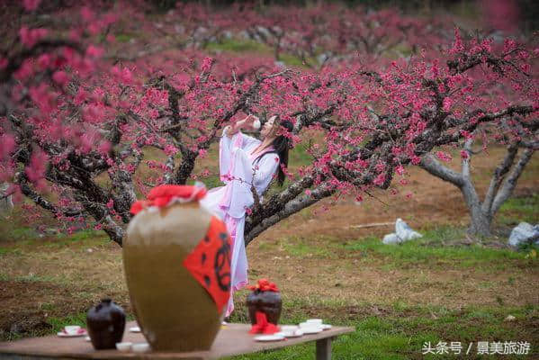 连州女大学生穿古装游桃园喝桃花酒玩飞花令，呼吁人们要学古诗词