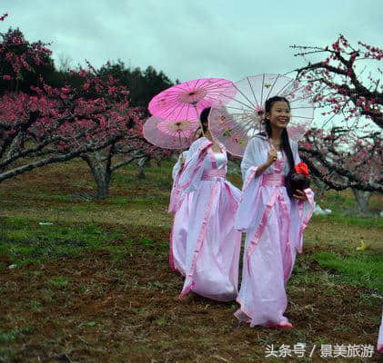 连州女大学生穿古装游桃园喝桃花酒玩飞花令，呼吁人们要学古诗词