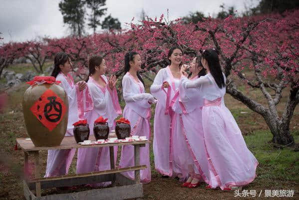 连州女大学生穿古装游桃园喝桃花酒玩飞花令，呼吁人们要学古诗词