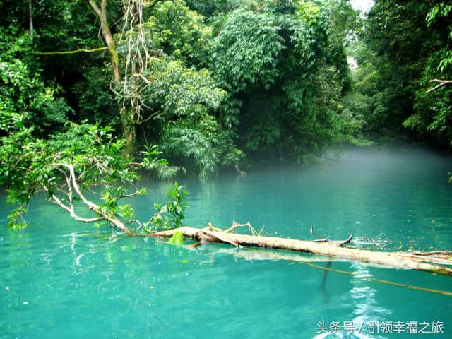 引领幸福之旅‘’美丽贵州荔波旅游景区‘’