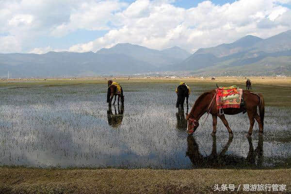 丽江十大旅游景点排行榜，你想去哪个？