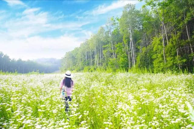 青岛直飞长白山，只要4830元就能开启一场完美夏日清新自然之旅！