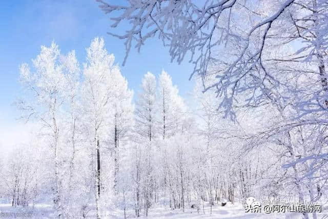 冬季到，福利到，还有什么理由不来阿尔山？