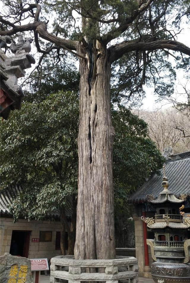 冬季到青岛旅游，独享美景，体验的就是这份安详和静谧