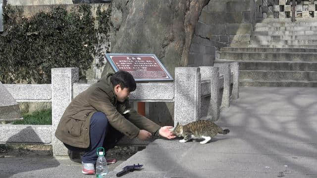 冬季到青岛旅游，独享美景，体验的就是这份安详和静谧