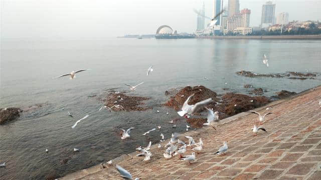 冬季到青岛旅游，独享美景，体验的就是这份安详和静谧