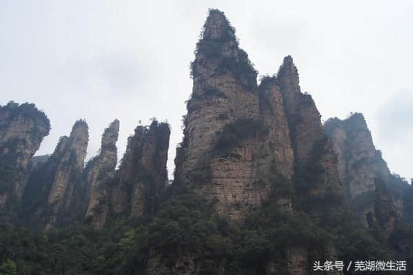 芜湖微生活推荐——芜湖到张家界旅游攻略