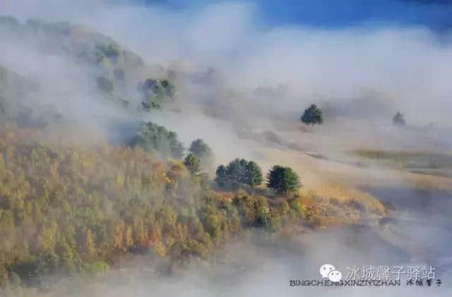 国庆去哪里？黑龙江的伊春，赏五花山！