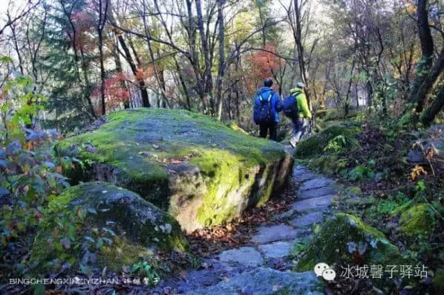 国庆去哪里？黑龙江的伊春，赏五花山！