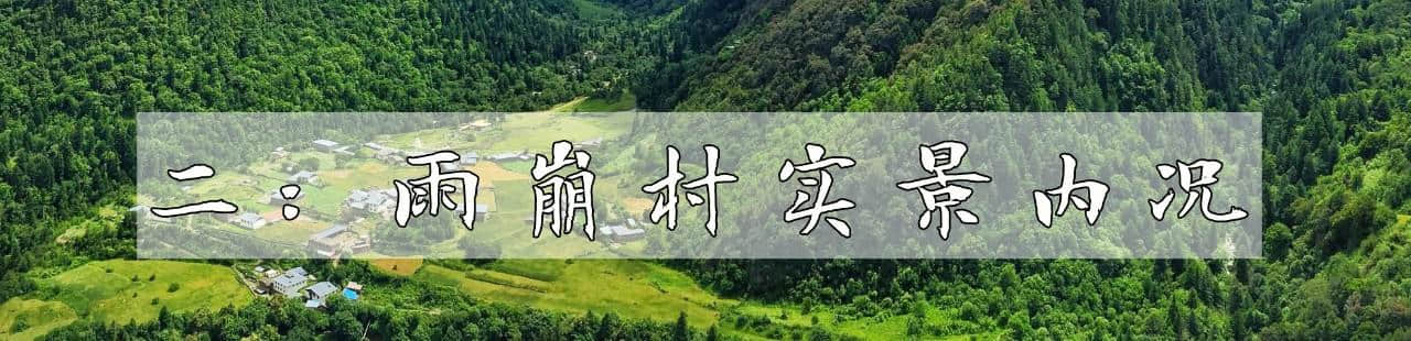 千万不要去雨崩，因为你会无可救药的爱上它