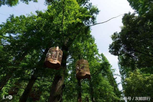 阿尔山旅游攻略，兴安岭天然氧吧