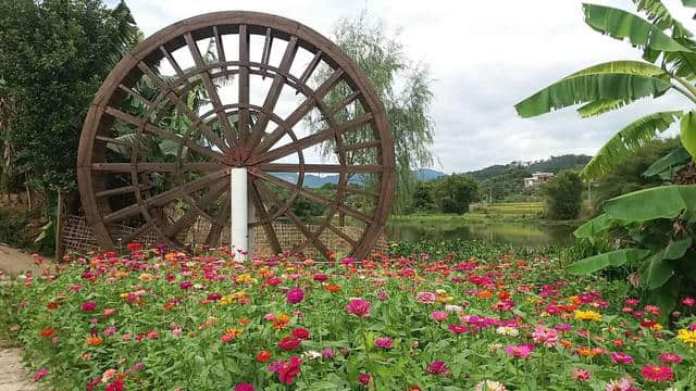 择一片花海，倾听花开的声音