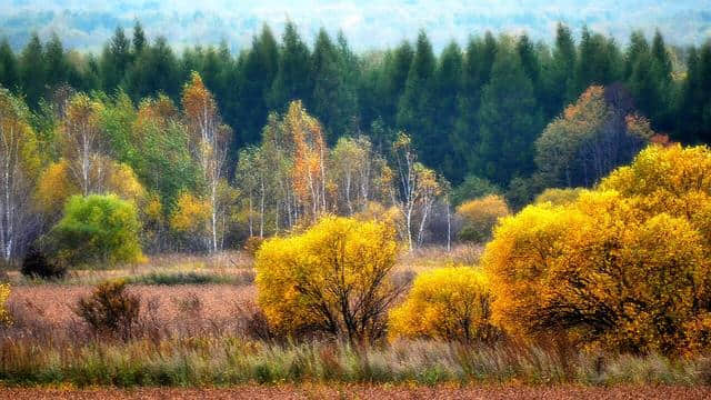 你好，我是五大连池旅游！2017国庆中秋“双节”五大连池邀您共赏火山秋色！