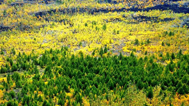 你好，我是五大连池旅游！2017国庆中秋“双节”五大连池邀您共赏火山秋色！