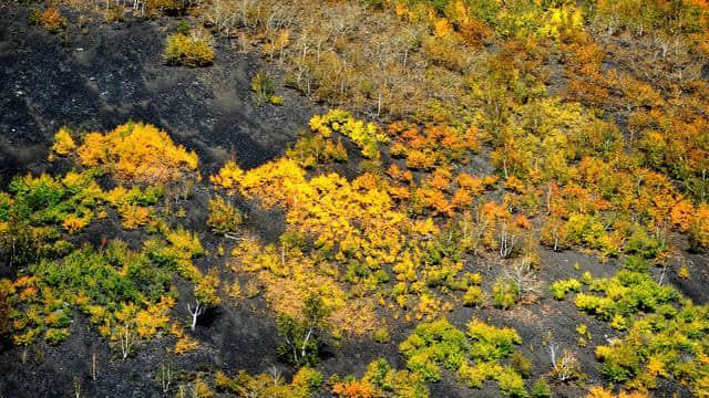 你好，我是五大连池旅游！2017国庆中秋“双节”五大连池邀您共赏火山秋色！