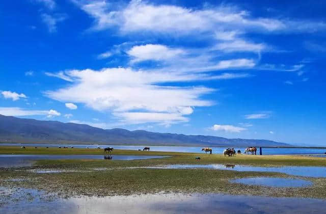 不能再去青海旅游了，那景色令我窒息