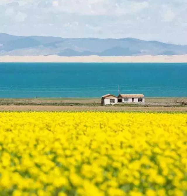 不能再去青海旅游了，那景色令我窒息