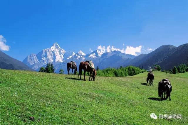 阿坝旅游网正式上线销售川西环线联盟景区优惠套票！