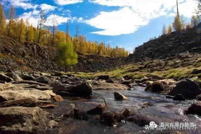 阿尔山森林公园旅游攻略，跟我们一起领略草原到森林的奇妙景观