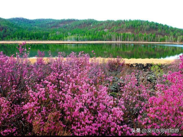 阿尔山森林公园旅游攻略，跟我们一起领略草原到森林的奇妙景观