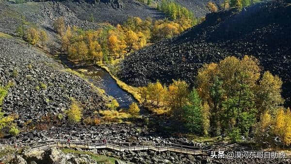 阿尔山森林公园旅游攻略，跟我们一起领略草原到森林的奇妙景观