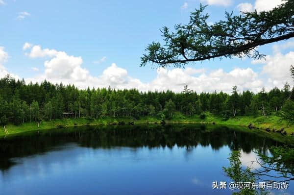 阿尔山森林公园旅游攻略，跟我们一起领略草原到森林的奇妙景观