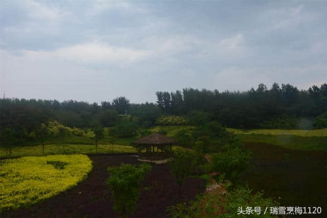 「清凉夏日」盖州团山国家海洋公园