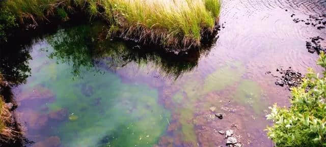 五大连池旅游带你这样玩转2018火山圣水节