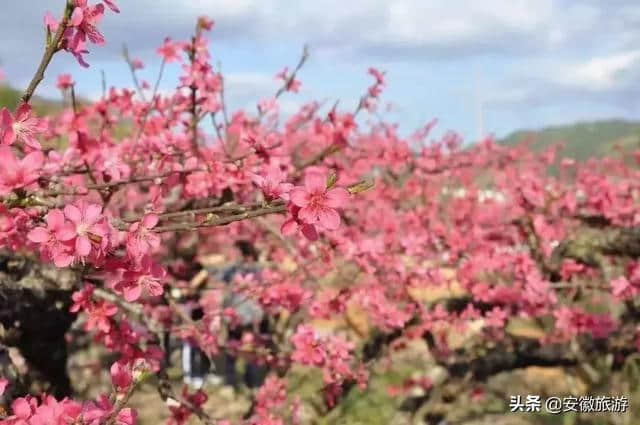 一月一山水！芜湖12个月的绝佳旅游地提前来看！