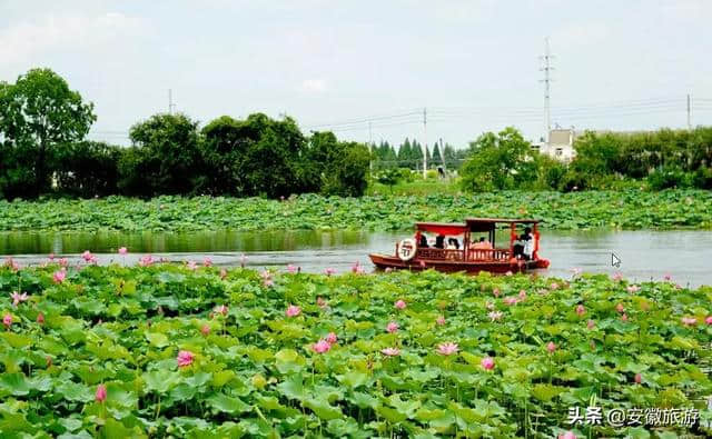 一月一山水！芜湖12个月的绝佳旅游地提前来看！