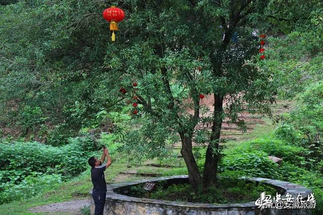 一月一山水！芜湖12个月的绝佳旅游地提前来看！