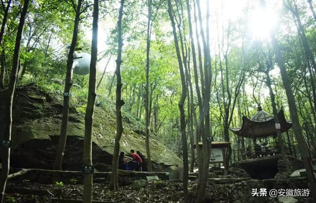 一月一山水！芜湖12个月的绝佳旅游地提前来看！