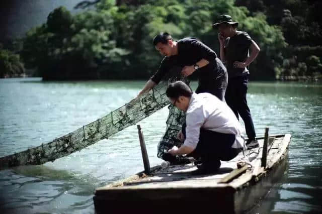 桐庐富春江边一个美若仙境的江景民宿，享受山间的野趣丨原乡芦茨