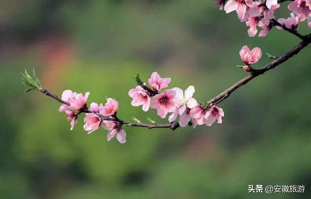 走！向“欢乐之城”芜湖出发！