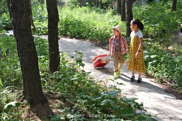 暑假里，带着童真感受雾灵山的花草清爽