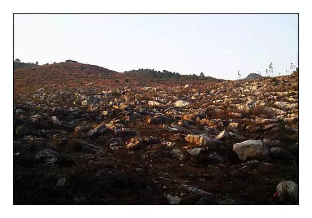 连州星子镇一静逸的小山村——杨梅村