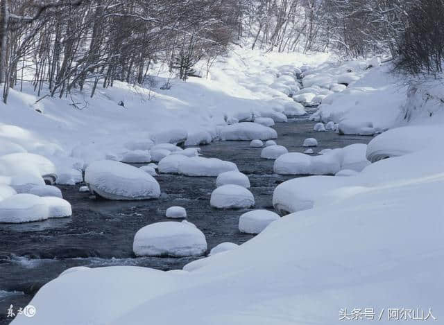 阿尔山，雪藏在大兴安岭里的冬日传奇（附冬季旅游攻略）