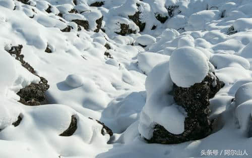 阿尔山，雪藏在大兴安岭里的冬日传奇（附冬季旅游攻略）