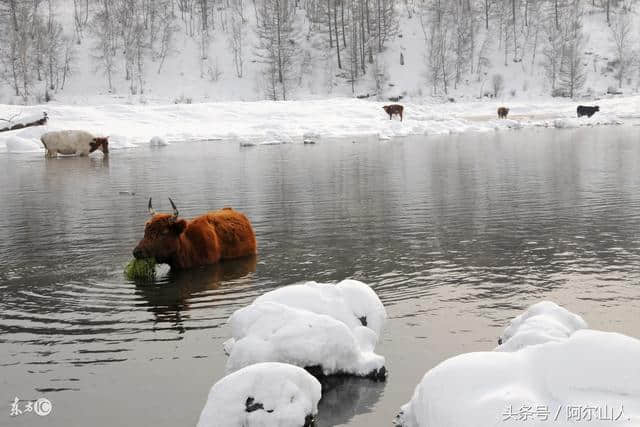 阿尔山，雪藏在大兴安岭里的冬日传奇（附冬季旅游攻略）