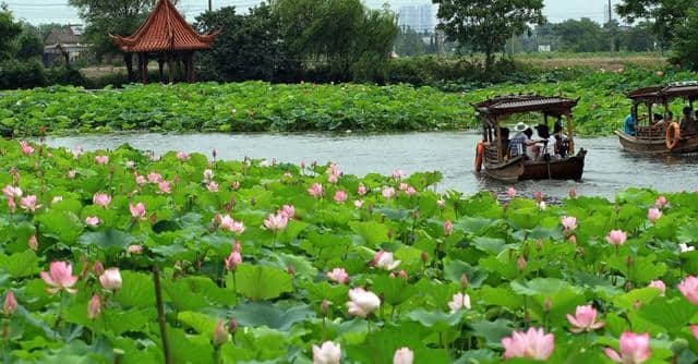 安徽芜湖十大旅游景点