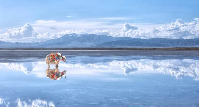 到青海旅游必看的三个景点，你都来过吗？