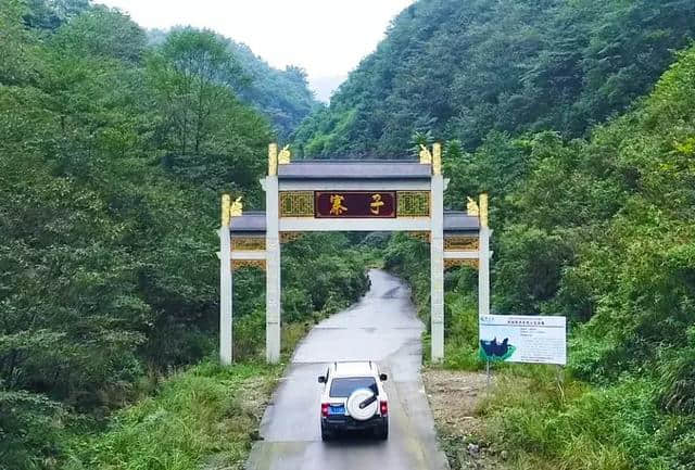 乐山又一处休闲度假好去处！那里空气清新，被茶山环绕……