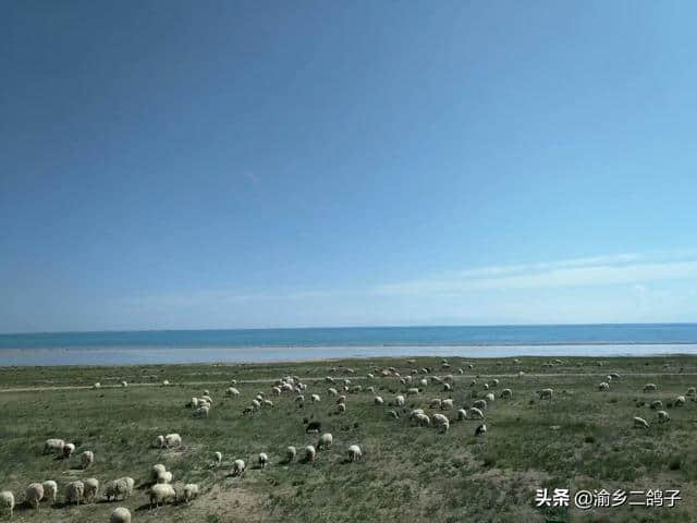 去青海湖旅游，主要看哪些景点？路线怎么走？