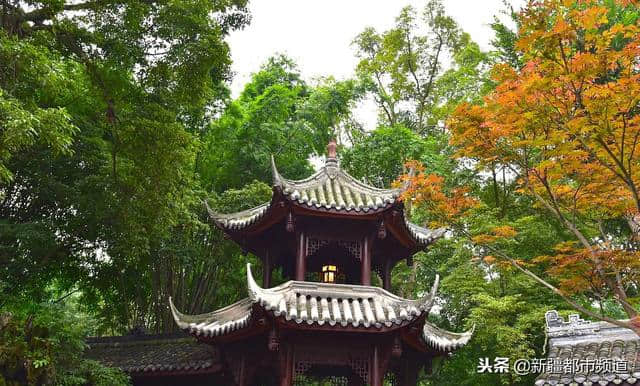 来新疆乌鲁木齐旅游，最容易忽视的两个景点，每个景区都很独特