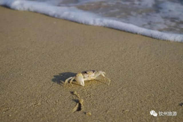 慢时光丨钦州海边一家文艺小清新的渔家驿站，美skr人